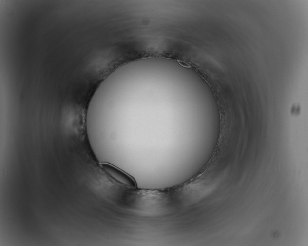 X0000103450528200809121430