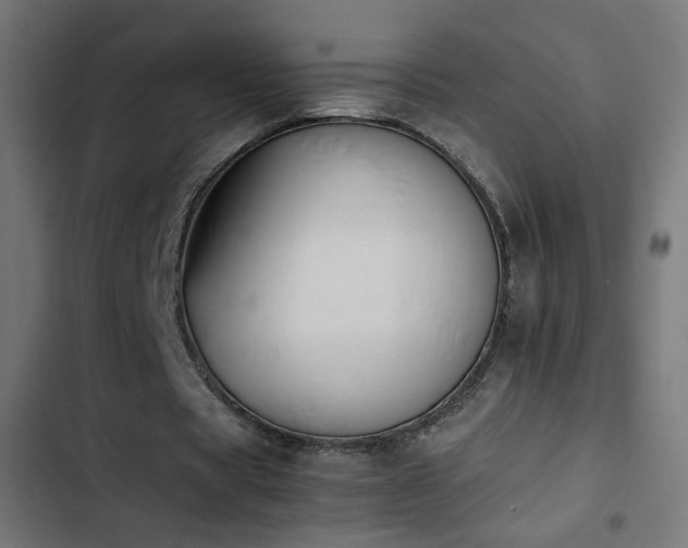 X0000103450529200809121429