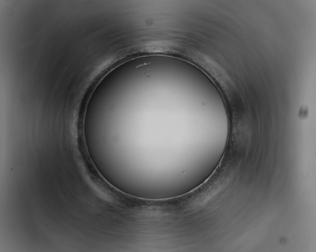 X0000103450530200809121429