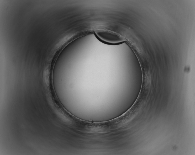 X0000103450533200809121429