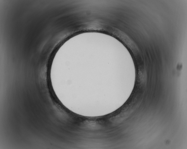 X0000103450534200809121429