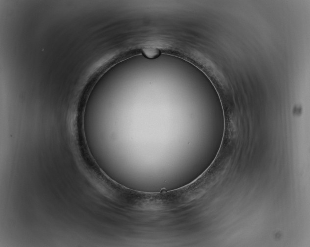 X0000103450535200809121429