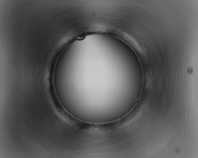 X0000103450538200809121430