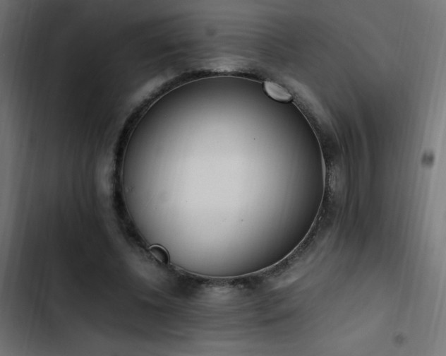 X0000103450540200809121430