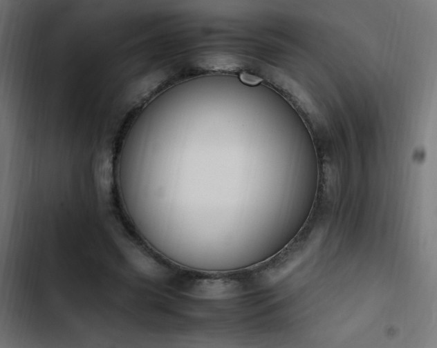 X0000103450541200809121430