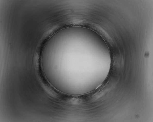 X0000103450542200809121430