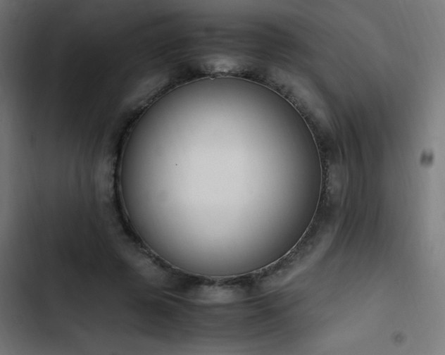 X0000103450545200809121430