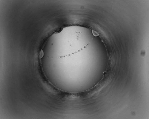 X0000103450546200809121430