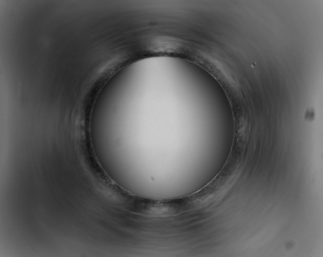 X0000103450547200809121430