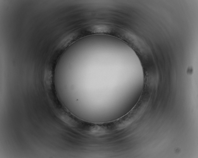 X0000103450549200809121430