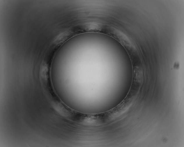 X0000103450550200809121430