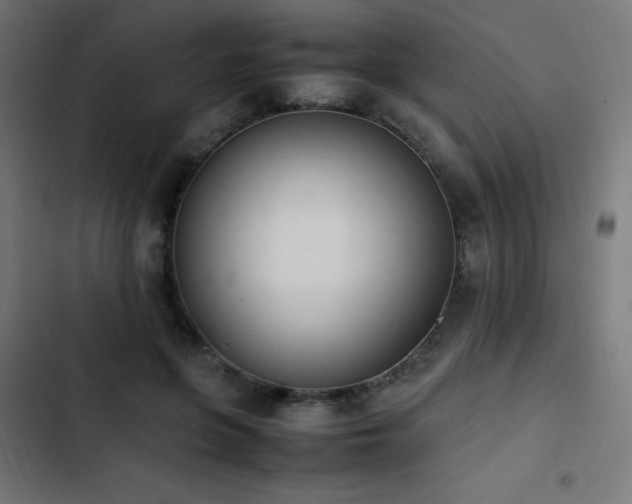 X0000103450551200809121430