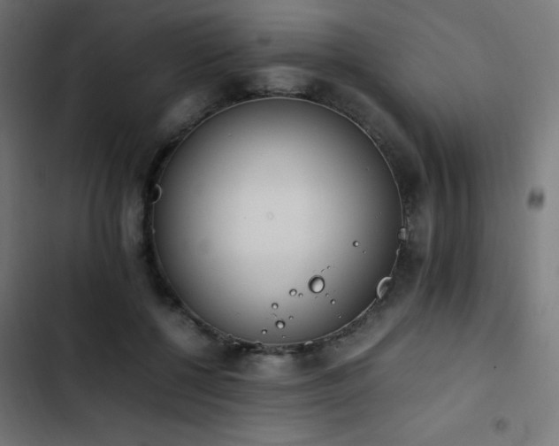 X0000103450552200809121430