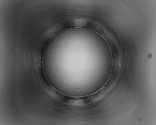 X0000103450553200809121430