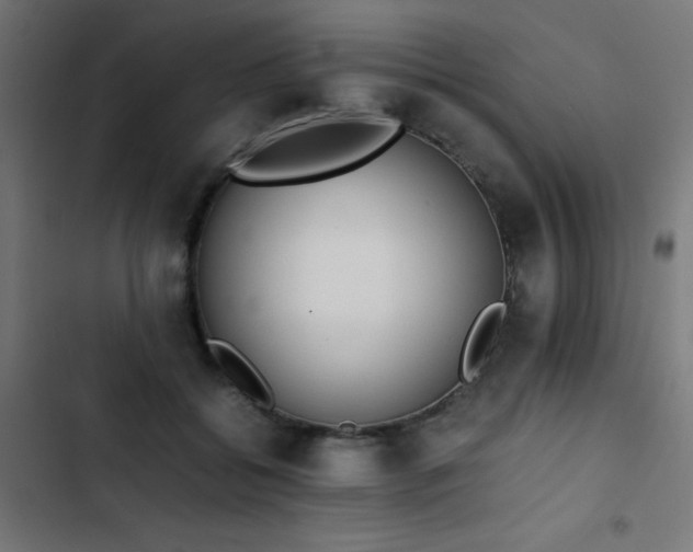X0000103450556200809121430