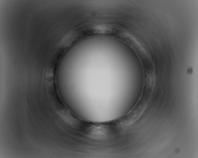 X0000103450557200809121430