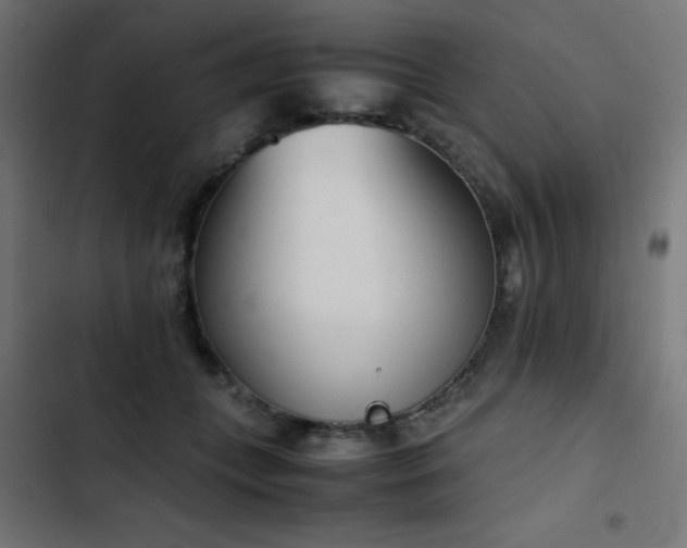 X0000103450559200809121430