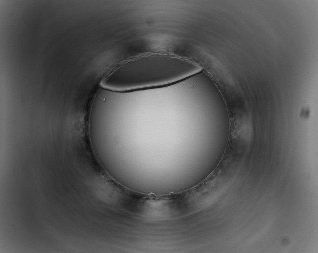 X0000103450560200809121430