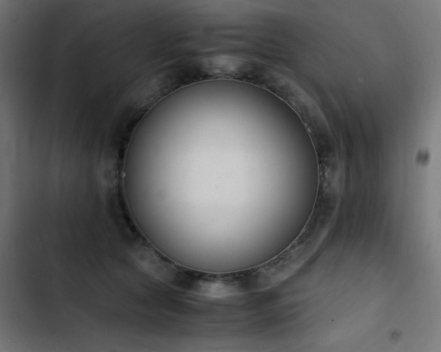 X0000103450561200809121430