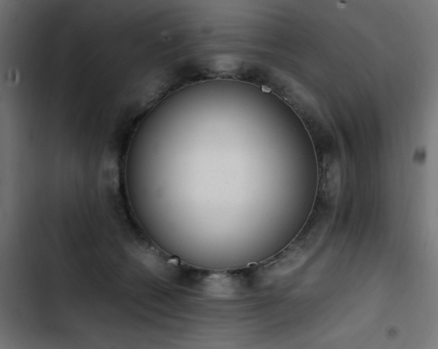 X0000103450562200809121430
