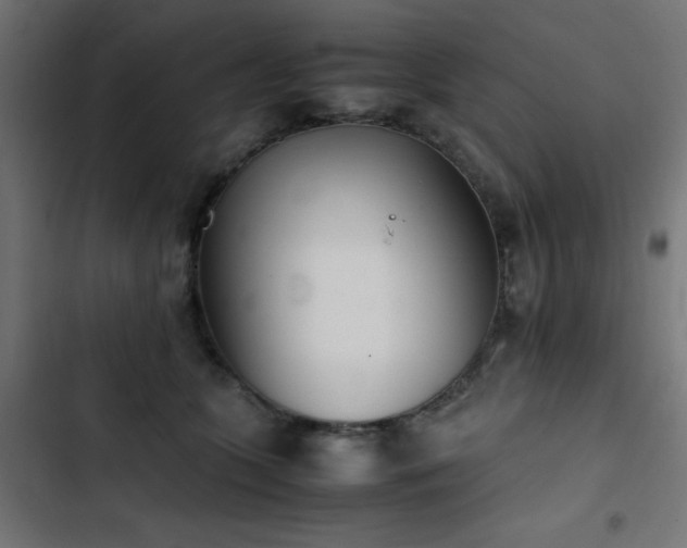 X0000103450563200809121430