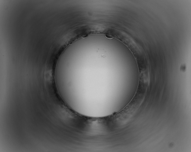 X0000103450564200809121430