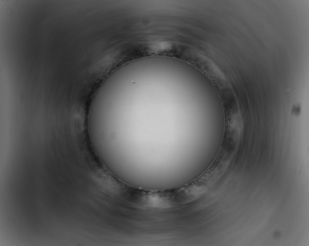 X0000103450565200809121430