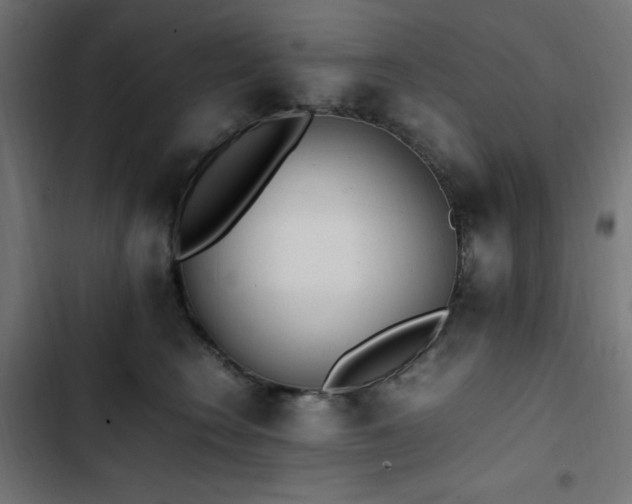 X0000103450566200809121430