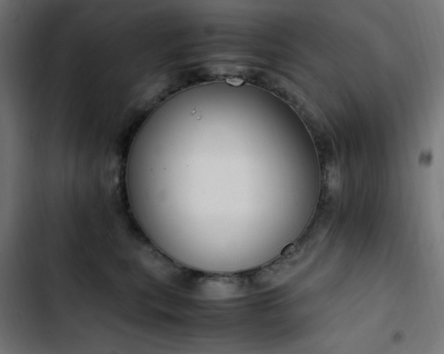 X0000103450567200809121430