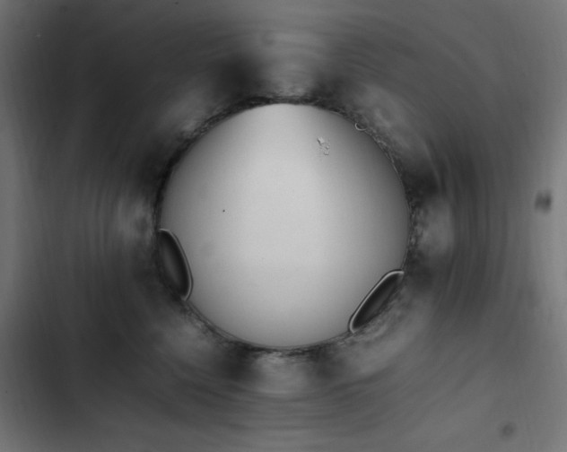 X0000103450568200809121430