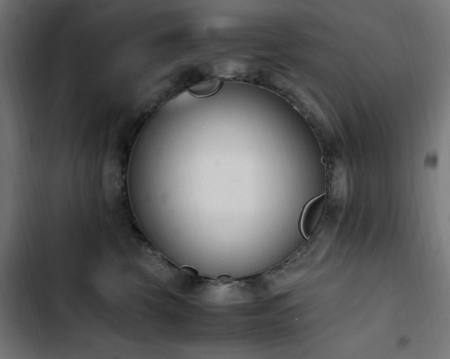 X0000103450569200809121430