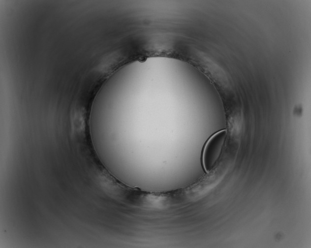 X0000103450570200809121430