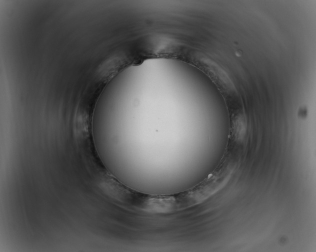 X0000103450571200809121430