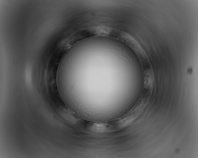 X0000103450573200809121430