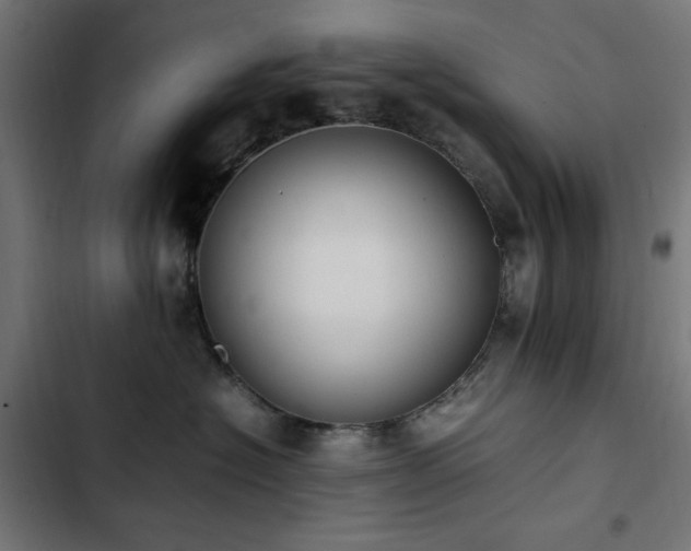 X0000103450574200809121430