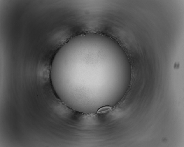 X0000103450576200809121430