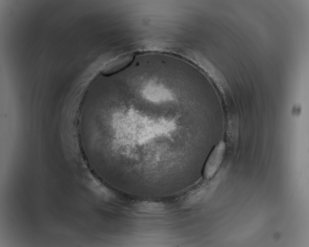 X0000103450577200809121429