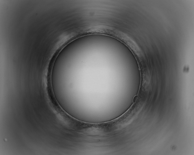 X0000103450578200809121429