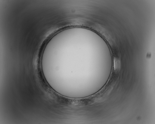 X0000103450579200809121429