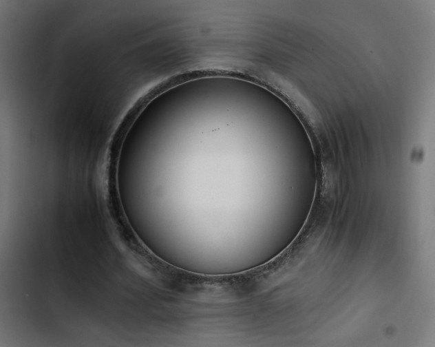 X0000103450580200809121429