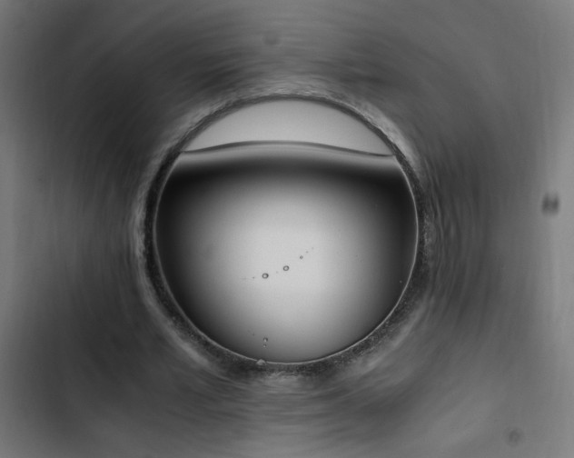 X0000103450581200809121429