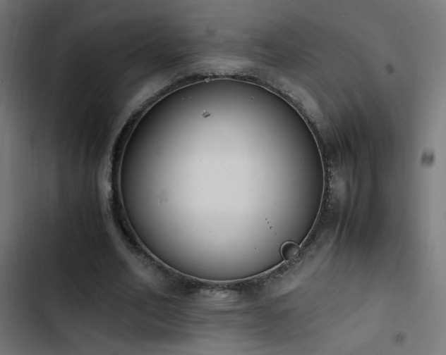 X0000103450582200809121429