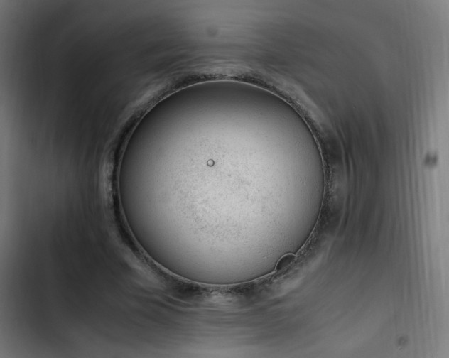 X0000103450585200809121429