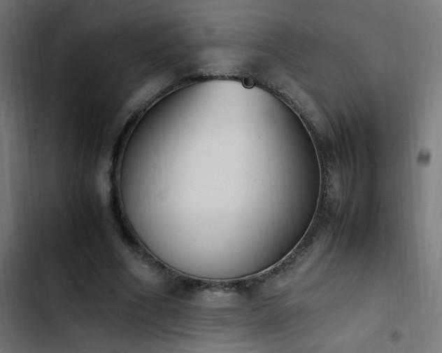 X0000103450586200809121429
