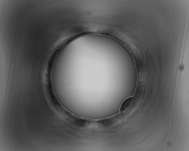 X0000103450587200809121429