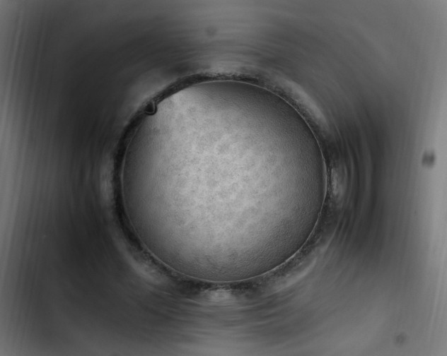 X0000103450588200809121429