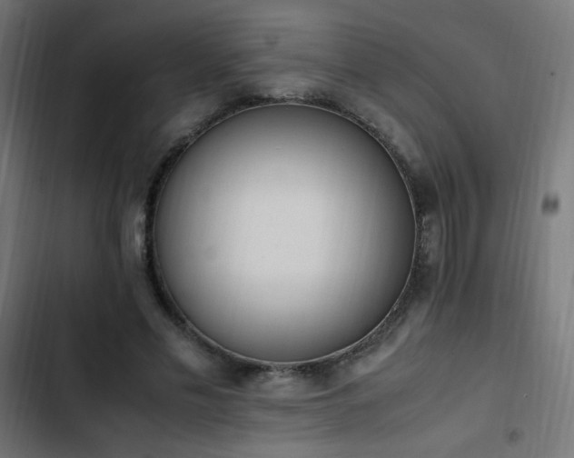 X0000103450589200809121429