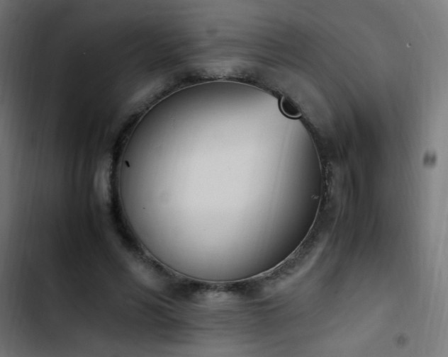 X0000103450590200809121429