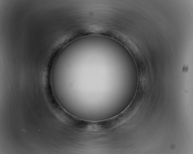 X0000103450591200809121429