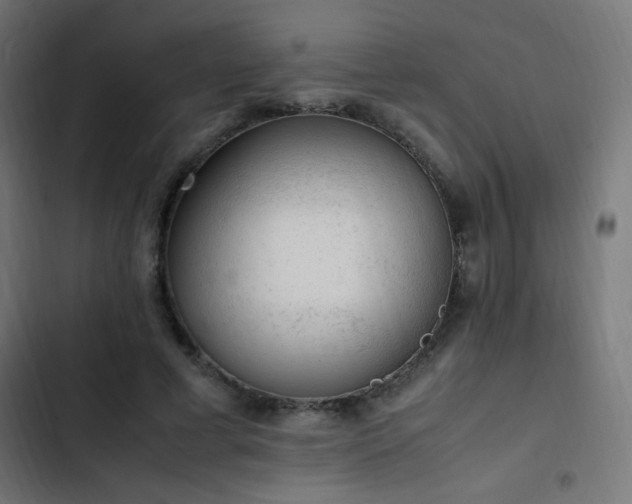 X0000103450593200809121429